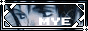 mye.gif