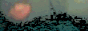 lucy.gif