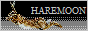 hm3.png